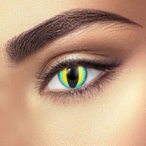 Lizard Eye Accessories (Pair) 90 Days